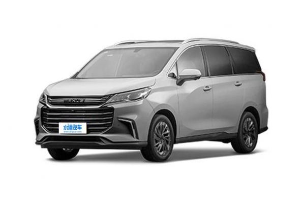 上海大众大suv（上海大众大通商务车）-图2