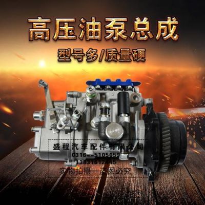 北京柴油车效泵（柴油泵报价）-图1