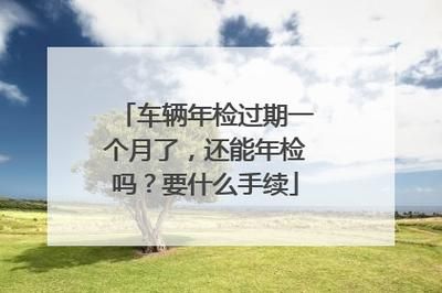 年检逾期会罚款吗（年检逾期会怎么办）