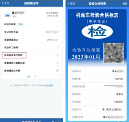 免检车如何年检（免检车年检标志电子版）-图2