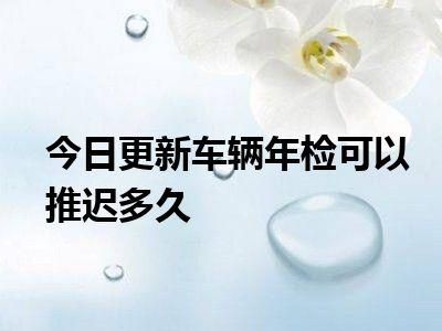 车辆年检推迟多久（车辆年检推迟几天）-图3