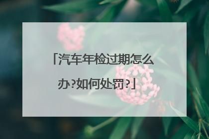 罚款影响年检吗（罚款影响年检吗）-图3