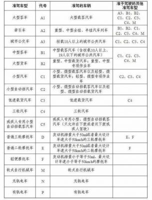 c证年检多少钱（c证年审办理流程）-图2