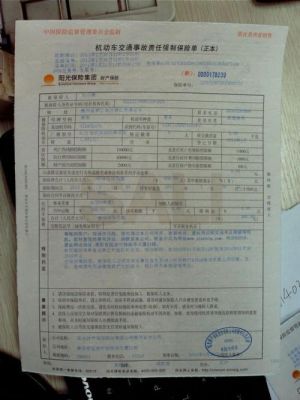 年检保单丢失怎么办（年检保险单丢了怎么办）-图1