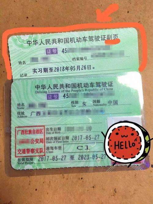 河北省驾驶证年检（河北省驾驶证年检多少钱）-图2