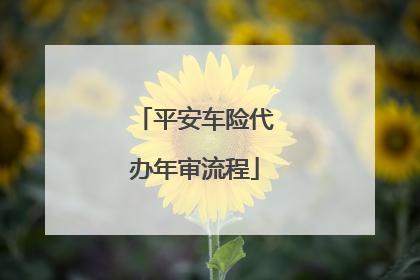 平安车险代办年检（平安车险代办年检需要准备什么）-图3