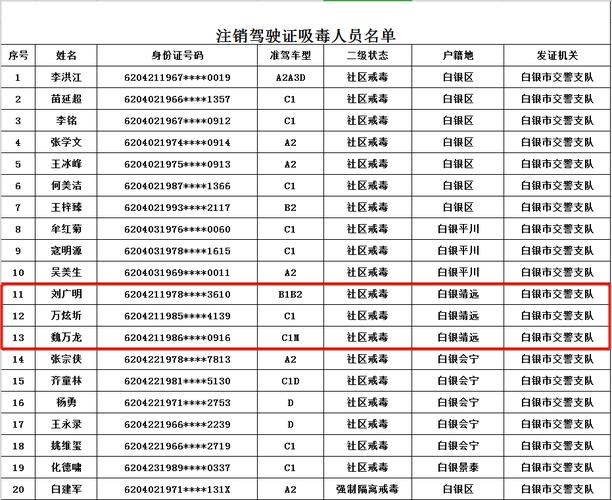 吸毒年检驾照（吸毒人员驾驶证年检审批表）