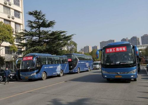 沙市区汽车年检（沙市区汽车年检多少钱）