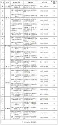 乌鲁木齐汽车年检（乌鲁木齐汽车年检代办费用）-图2