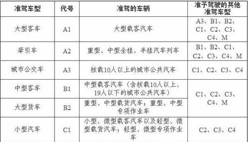 a2驾驶证年检新规定（a2驾驶证年检新规2020年新规定）-图3