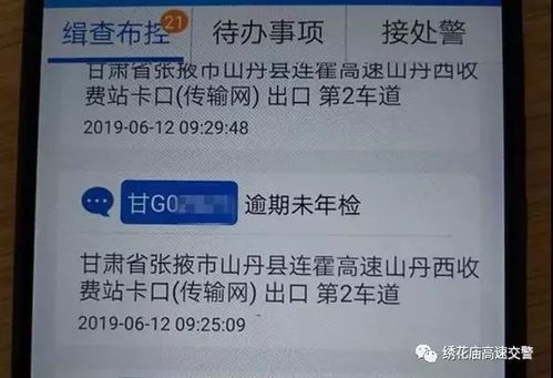 伪造年检标志（伪造年检标志会受到怎样的处罚）-图1