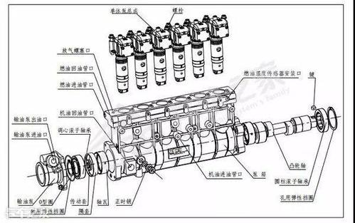 柴油发动机单体泵（柴油发动机单体泵与高压共轨哪个好）-图2