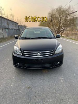 长城国四柴油车（长城国四柴油车价格）-图2