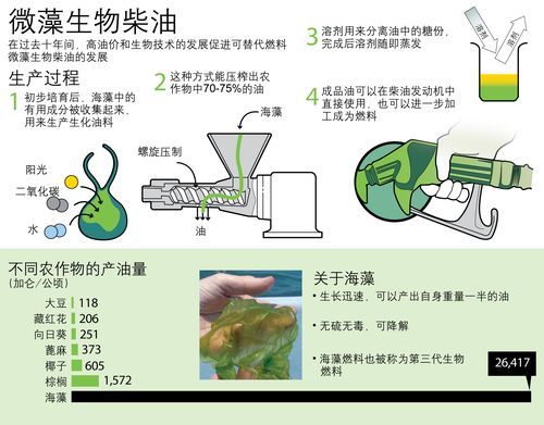 B20生物柴油与柴油（b20生物柴油 百度百科）-图3