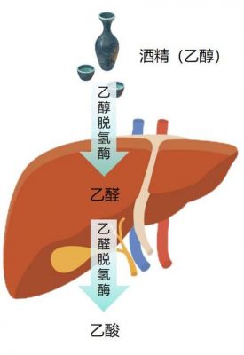 柴油里面可以兑乙醇吗（柴油里面可以兑乙醇吗）-图3