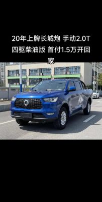 最省油的柴油汽车排行（最省心的柴油车）-图1